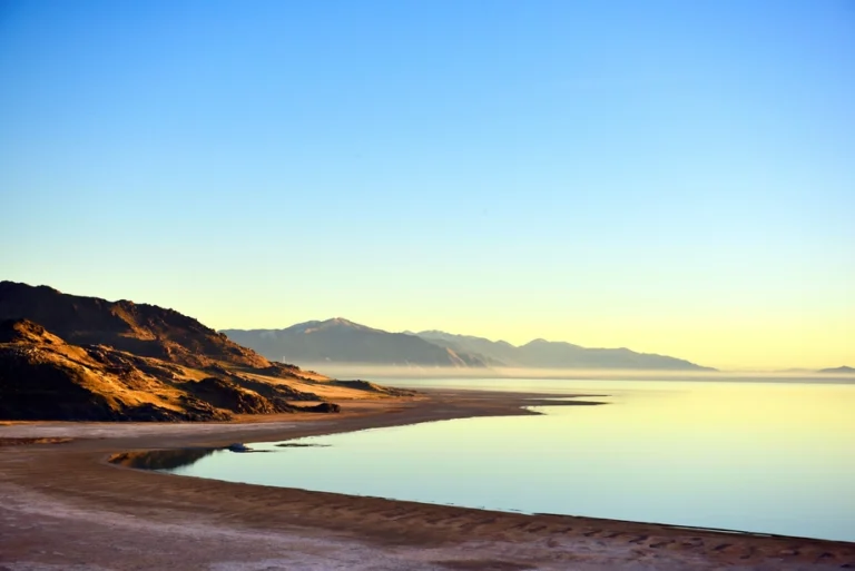 Antelope Island Sunset Wildlife Expedition – Great Salt Lake Odyssey